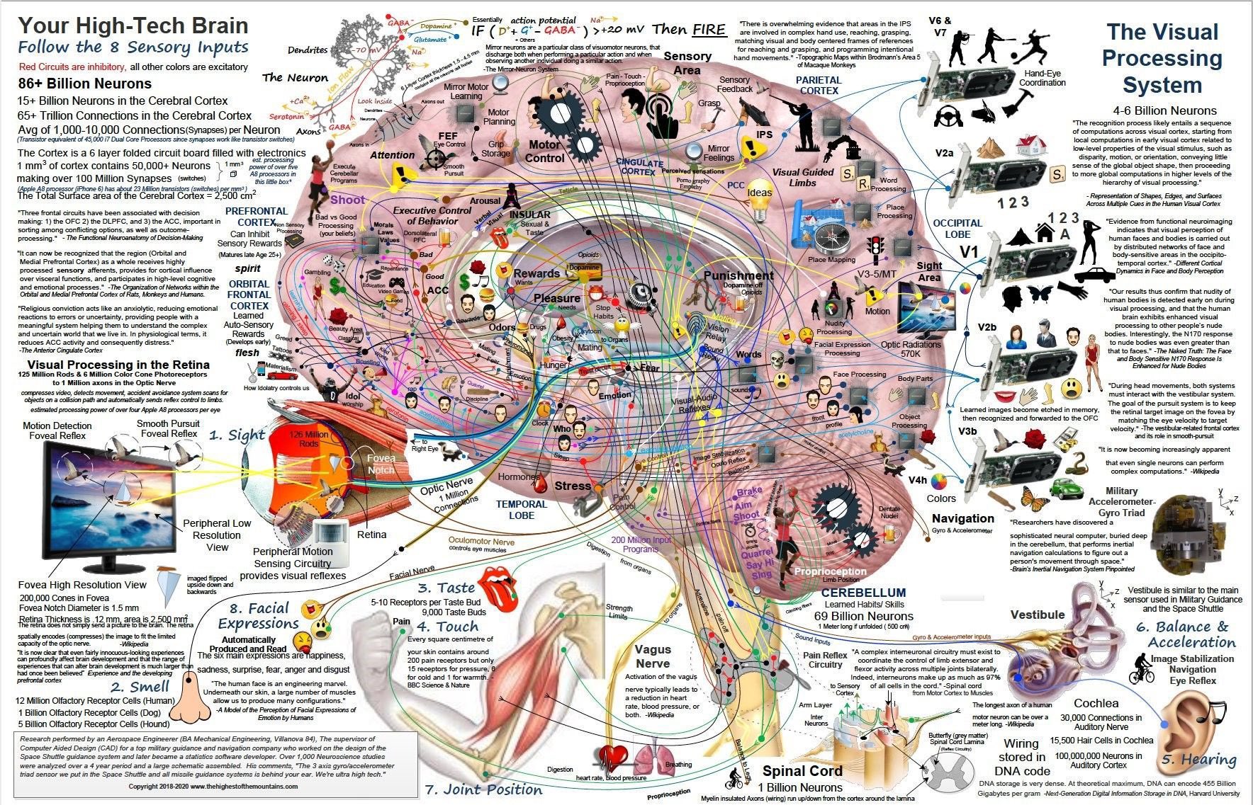 Your high tech brain