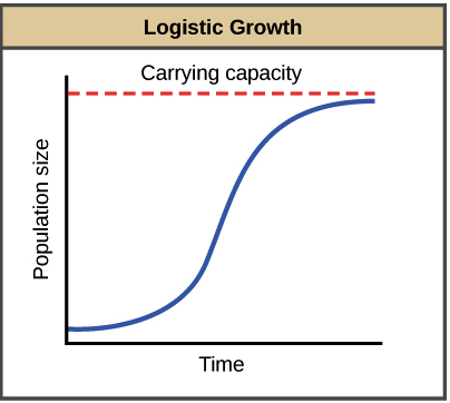 logistic growth curve